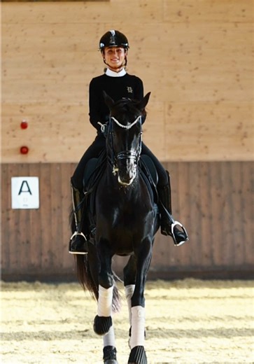 The Art of Dressage: Dancing with Horses