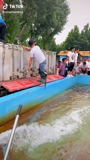 Discover the Most Amazing Videos with Smart Settings