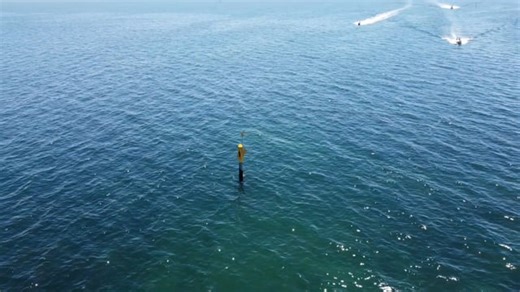 Doctor, X-Ray, Hospital, Nurse