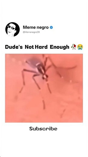 Dude's Not Hard Enough 🥀😭