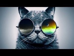 Funky Rap / Hip-Hop Instrumental | Jazzy Guitar Beat "Cool Catz" | Prod. by Syko