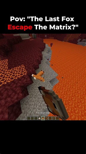 Fox Escape The Matrix? 🦊 😱