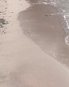 Josie Maran on Reels