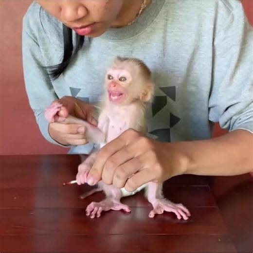 Jasmine Explodes During Wound Care➡️click for video: https://monkeydam.com/10090 | DAM VIDEO