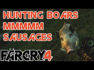 Where to find Boar Skins - Boar Location (read description for more info) - Far Cry 4
