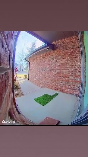 22K views · 634 reactions | Doorbell Dad Joke 63- Blowfish Vivint #dadjokes #daddork #dadlife #comedy #doorbellcamera #vivint | The Dad Dork | Facebook