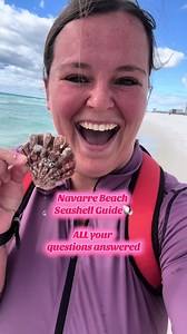 Your Ultimate Navarre Beach Shelling Guide