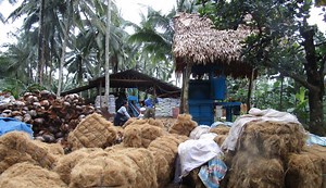 PHILIPPINES – Coco-Fiber Processing Facility Generates Alternative Livelihood for Coconut Farmers