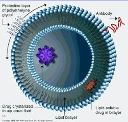 Nanotech and Drug Delivery