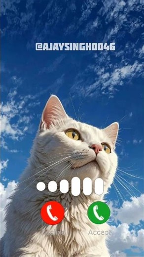 Cat calling ringtone Cute Kitty 🐈#ringtonenew #ringtones #funny #cat #aicat