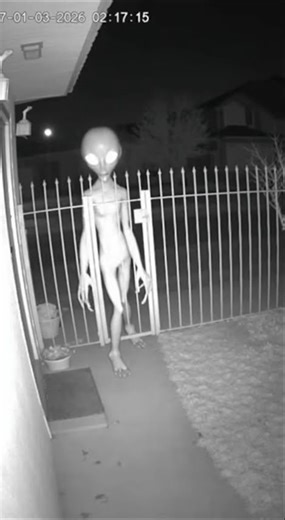 Unexpected Visitors Caught on CCTV! 👽