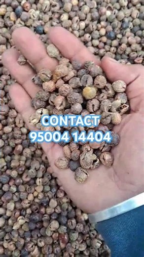 SUNDA VATHAL #sundakkai