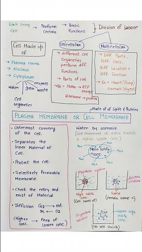 Fundamental Unit OF Life Notes #school #biology #learning #education #science