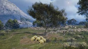 Where To Find Olives In ARC Raiders