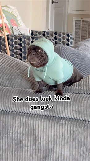 Gangsta but cute