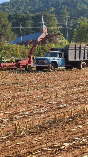 IH 1066 & New Holland 900 Chopper