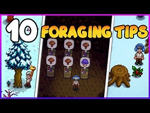 Maximize Your Stardew Valley Foraging (2025 Tips!)