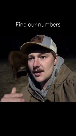 Know your numbers before you make decisions #cattle #beef #ranching