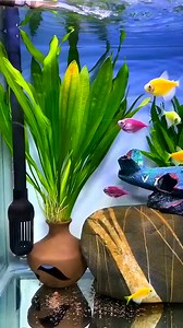 Awesome Aquarium Design DIY#fishaquarium #fishtanksetup #fish #trending #aquariumfishtank #viral#fyp #fyp #reels #viral | Aquatic Wonders Hub