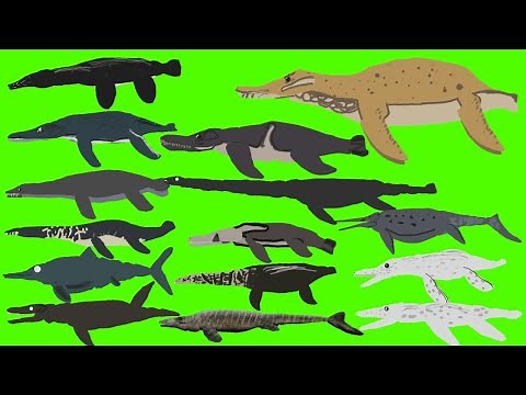Sea Monsters - Sea Dinosaurs Pack DC2 👉🎁👈 । Drawing Cartoons 2 Item Download । Рисуем Мультфильмы 2