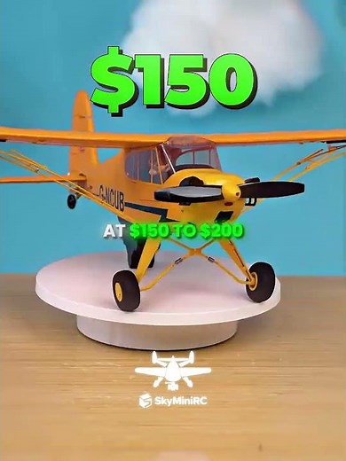 The $10,000 RC Plane Changes Everything (Watch the End)