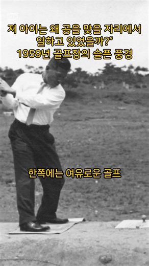 [한국전쟁 이후] 골프 연습장 도우미 역할 하는 아이 (1959 실화) [최초공개] - 그날의 추억 #1950s #명언 #시대일보 #한국전쟁