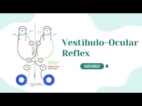 Vestibulo-Ocular Reflex||VOR Gain||VOR Phase||Push And Pull Mechanism||Saccadic Eye Movements