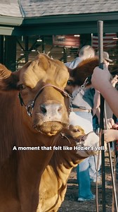 🔊 🐮 | Illinois State Fair
