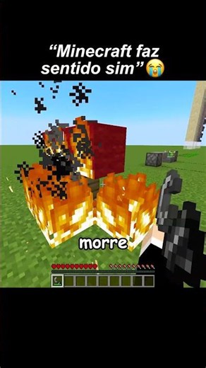 minecraft faz sentido sim 😭
