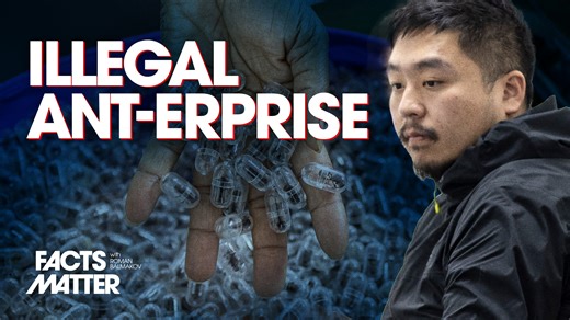Chinese Man Arrested, Sentenced to Prison for Trying to Smuggle 2,200 Ants Out of Kenya