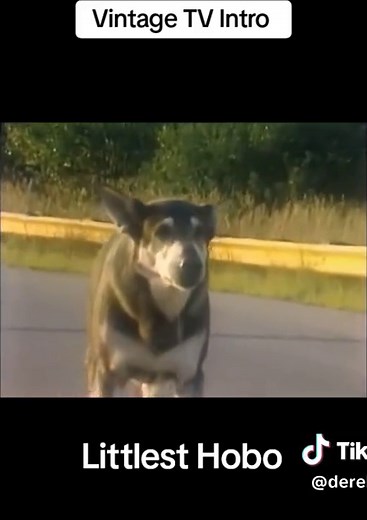 #thederekbob #vintagetvintro