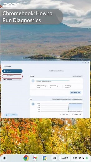 Chromebook: How to Run Diagnostics