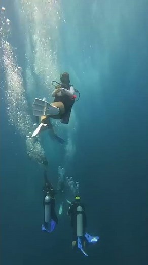 She said she will DIVE NAKED for her 100 Dive | Scuba Diving in Koh Tao, Thailand | Part 1 | #shorts