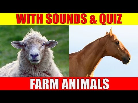 FARM ANIMAL PICTURES With Sounds and Names for Babies & Toddlers - Animal Quiz