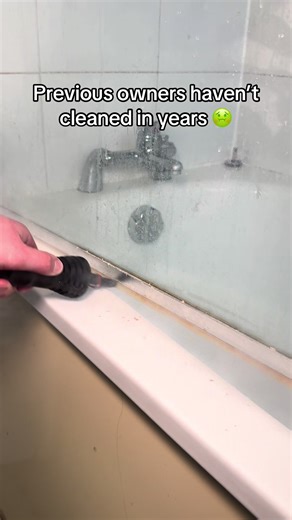 Reviving Grime: How a Steam Cleaner Transforms Dirt