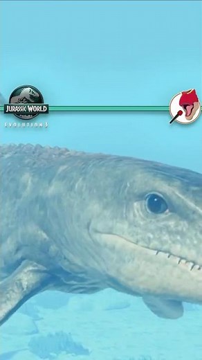 This Baby Mosasaurus is too ADORABLE 🥺