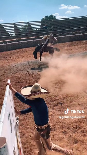 Exciting Rodeo: Cowboy and Bucking Horse Action
