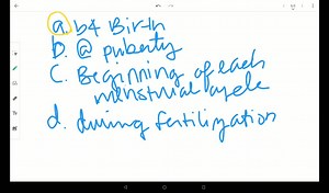 in nims when do managers plan and prepare for the demobilization process a at the end of the incident b at the same time they begin mobilizing resources c during recovery d when transitionin 43196