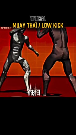 Low Kick Tutorial 🥋💥#martialarts #shorts #rohitsthetics #mma #youtube #viral #subscribe