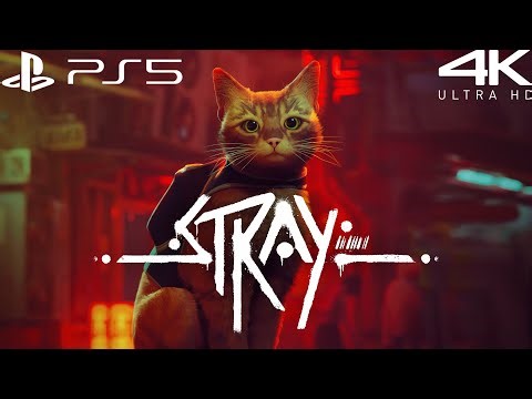 STRAY PS5 GAMEPLAY PART 1 | No Commentary [4K 60FPS]