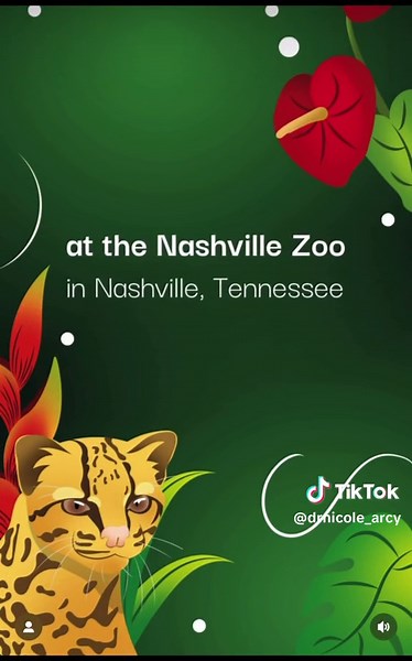 Wildlife Wonders: A Night of Hope and Conservation