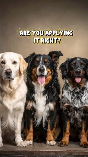 How to Apply Flea & Tick Drops Correctly for Better Protection