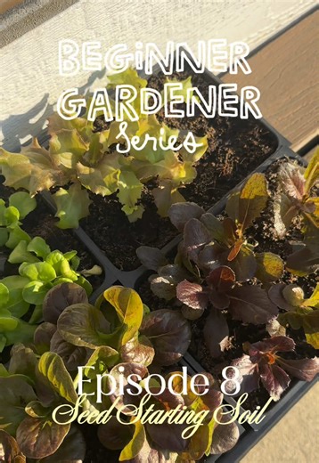 DIY Seed Starting Soil Mix for Healthy Seedlings