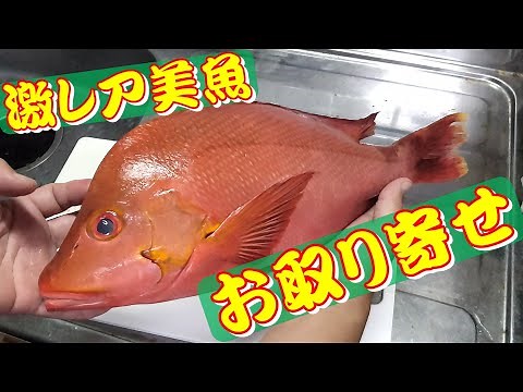 【激レア美魚】ヒメフエダイをお取り寄せして捌いて刺身と炙りにしてみた！