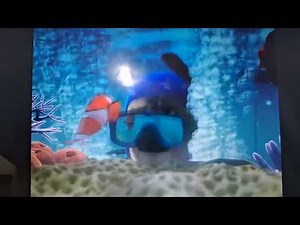 Finding Nemo (2003): Full Frame Nemo Diver Scene