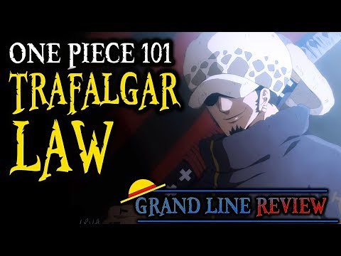 Trafalgar Law Explained (One Piece 101)