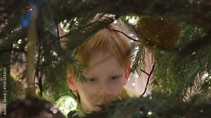 Impressive Child and the Christmas Tree. Camera shoots from inside the spruce. A little boy peers between the branches of a Christmas tree and examines the decorations with amusement