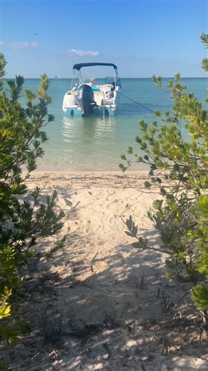 The Key Largo Dude on Instagram: "☀️ Cool breeze, warm sun 🚤 Quick run out to North Nest Key 🌿 Hard to beat a Florida winter #EvergladesLife #FloridaKeys #WinterOnTheWater #BoatDays #islandtime"