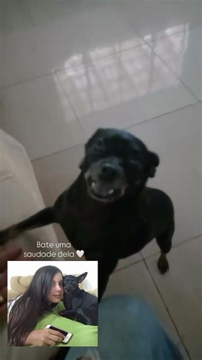 Uma sdds imensa mds !😭🩷 #boiadeira ‪@anacastelaoficial‬ #anacastelacantora