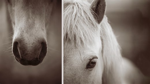 Opening files in Photoshop - Photoshop Video Tutorial | LinkedIn Learning, formerly Lynda.com